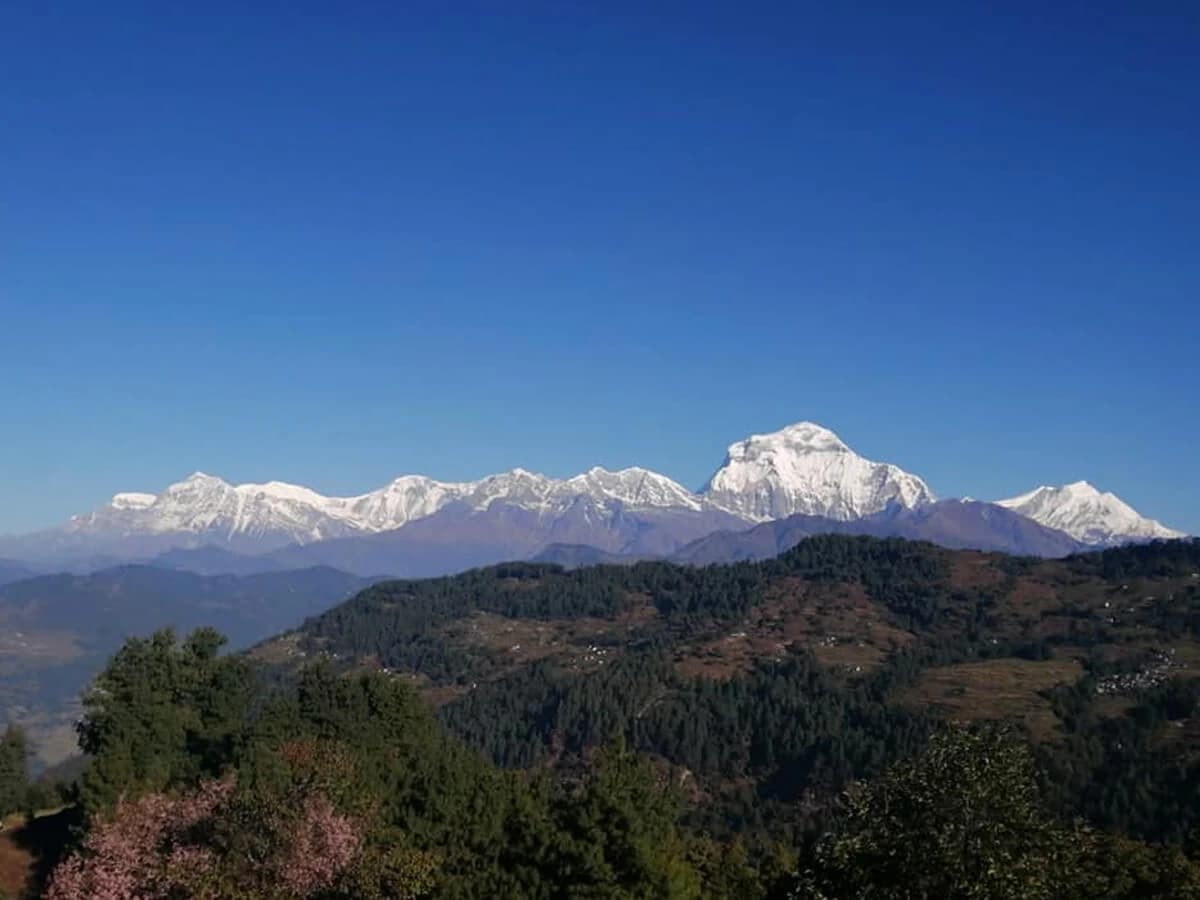 Dhaulagiri and its surrounding peaks