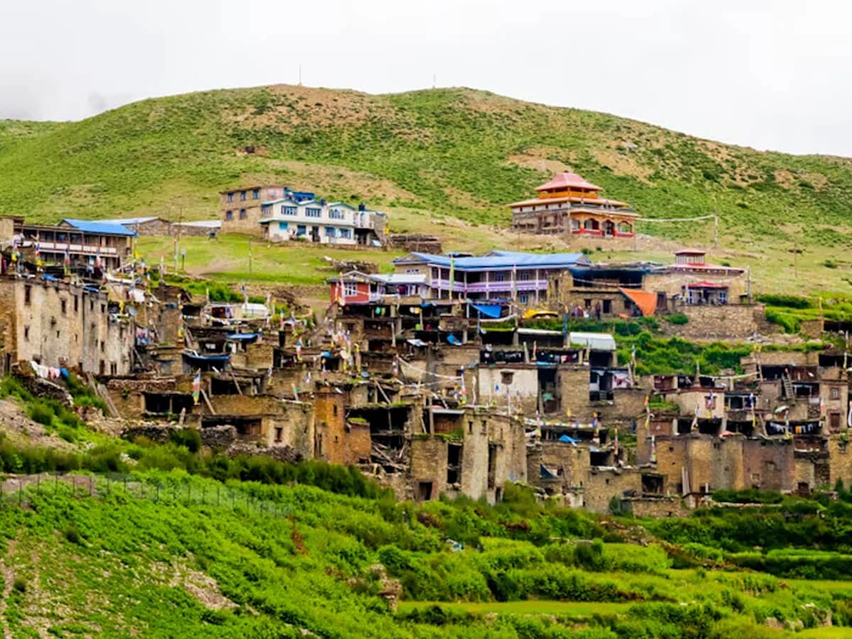 Green terrace in Nar Phu