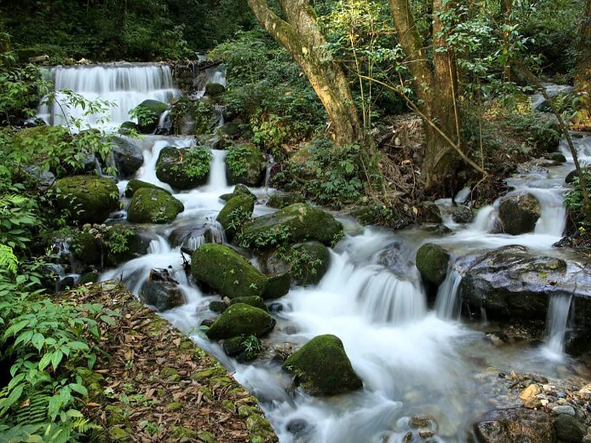 The nature in Shivapuri National Park