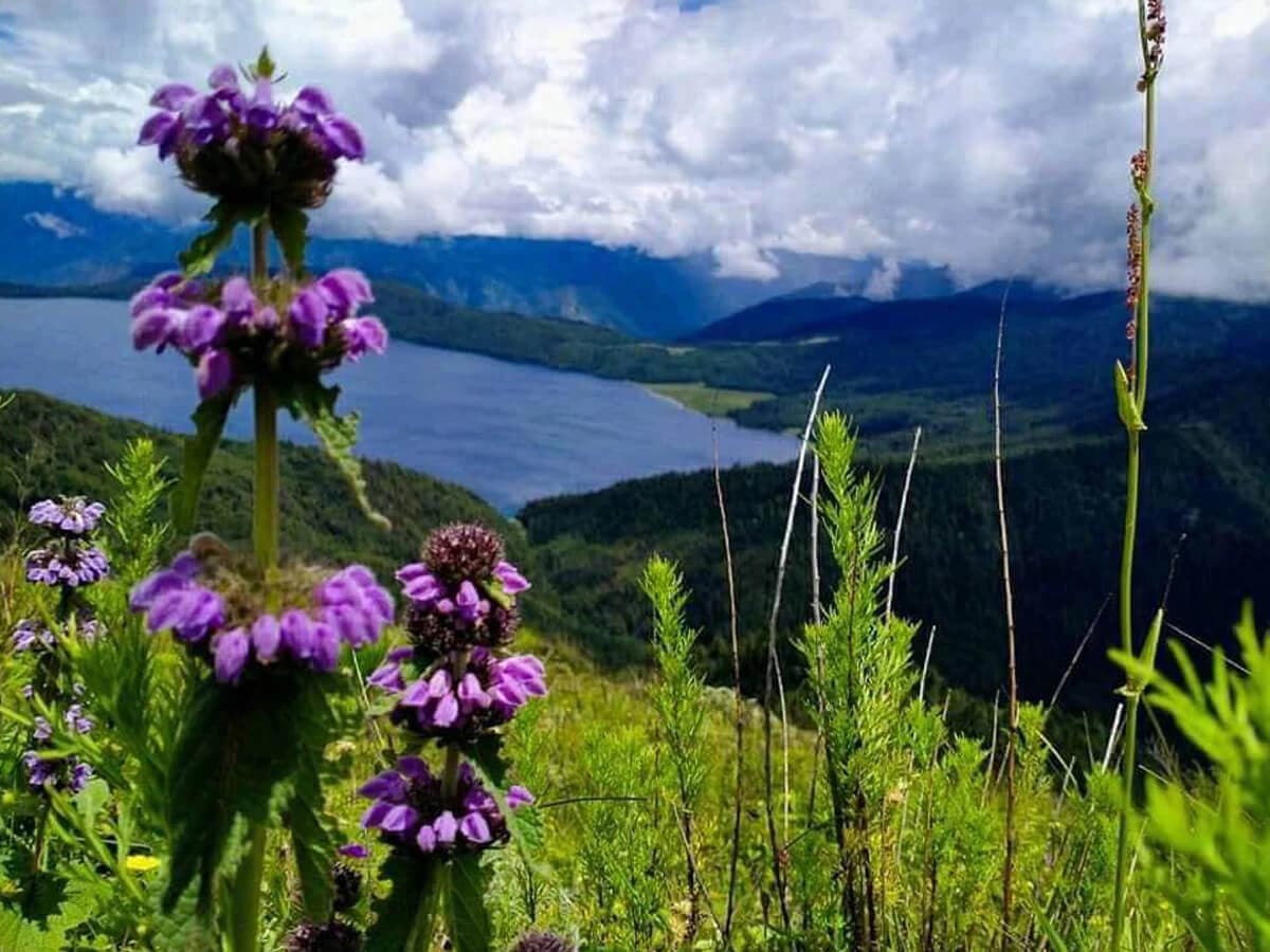 Rara Lake