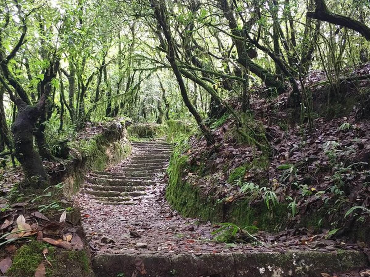 Tha trail to Shivapuri Peak