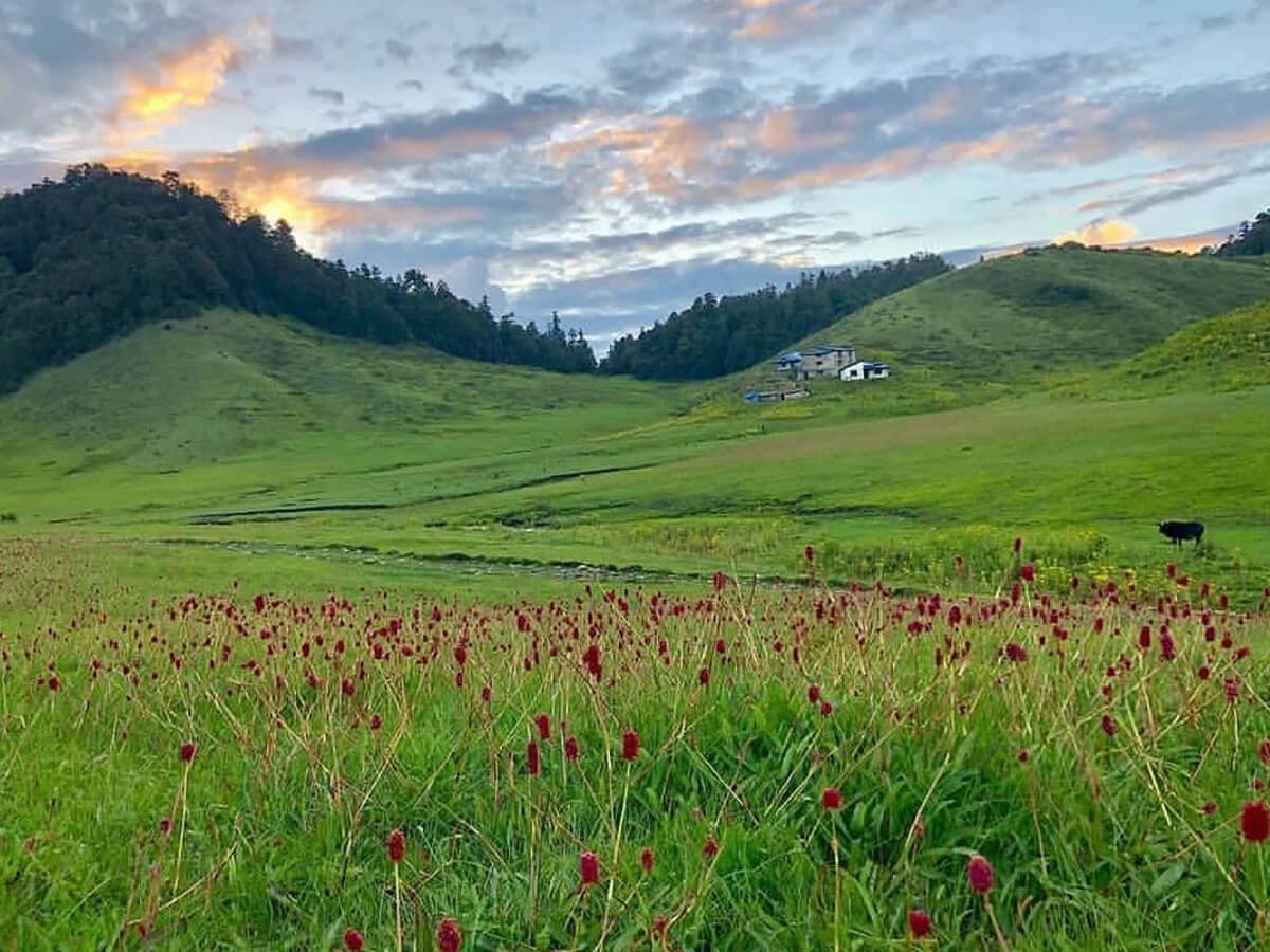 Khaptad trek in September