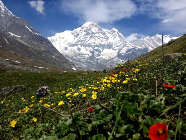 Annapurna Base Camp Trek In June