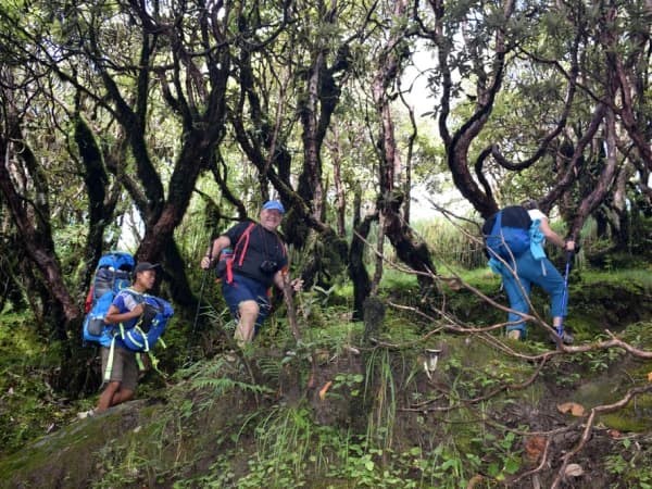 Trekkers Hiking Up In Mard Himal