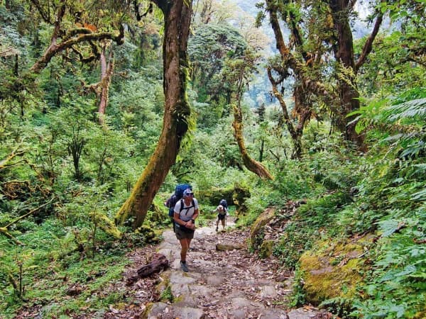 Trekking Jungle Nepal 1