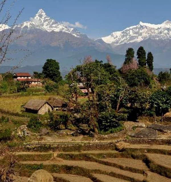 Panchase Trek from Pokhara