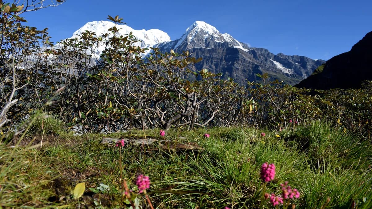 Mardi Himal Trek in September 2022