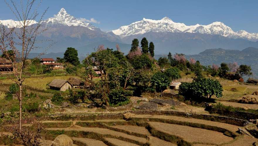View of Annapurna Range from Panchase Trek