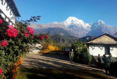 Himalaya Lodge in Ghandruk
